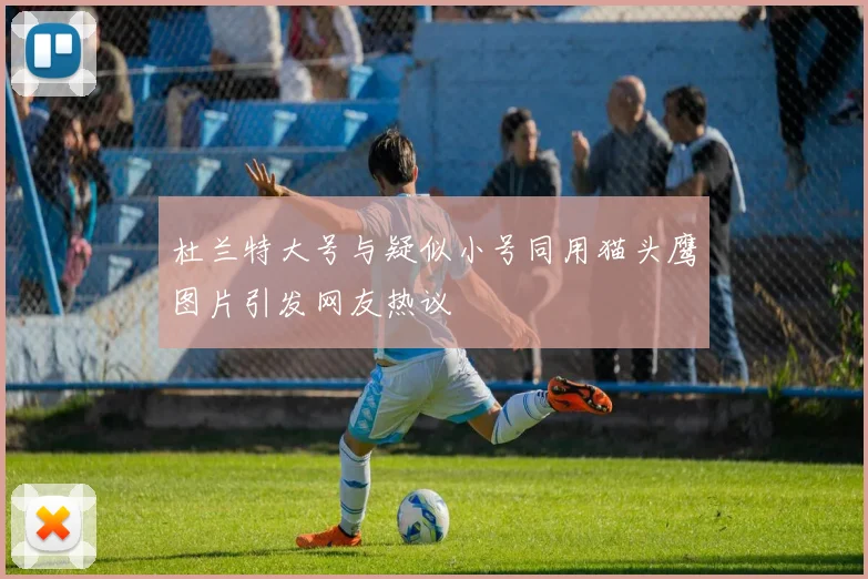 杜兰特大号与疑似小号同用猫头鹰图片引发网友热议